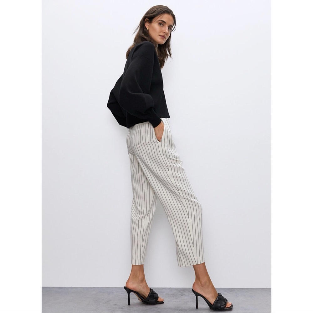 Aritzia Babaton Pant